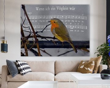 Als ik een vogel