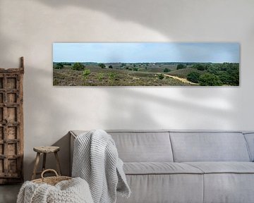 Posbank heide panorama van Gerard de Zwaan