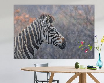 Zebra in de regen