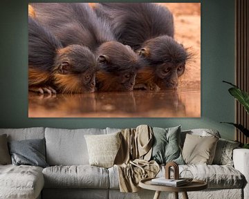 Red Fringe Monkey by Mario Severi