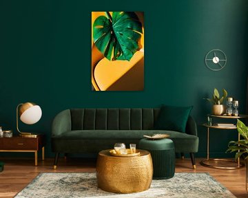 Monstera