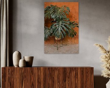 Monstera