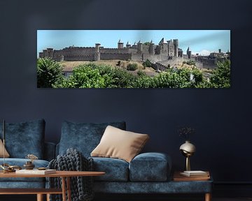 Carcassonne panorama van Carel van der Lippe