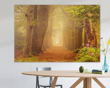 Boslaan in de mist met groene takken van KB Design & Photography (Karen Brouwer)