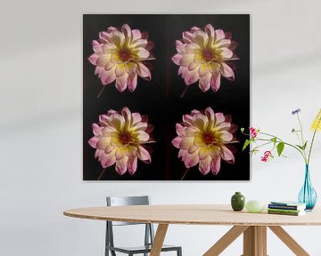Dahlia pink by Henriette Tischler van Sleen