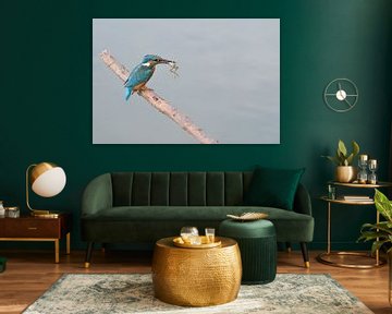 IJsvogel met kikker van Dick Carlier