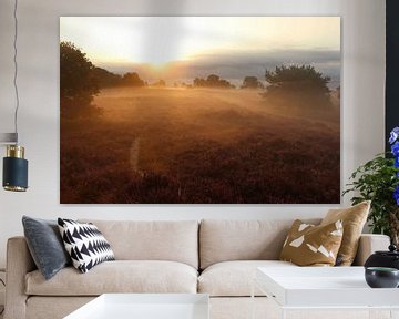 Zonsopkomst op de heide.1 van Daniëlle Eibrink Jansen