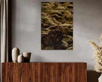IJslandse rotsgrond van Miranda Reisfotografie Prints