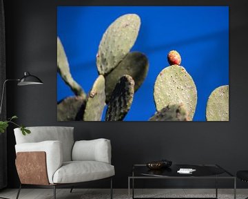 Cactus met vijg tegen blauwe lucht van Piet Hein Schuijff