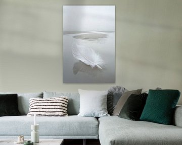 Plume blanche sur sable mouillé sur Imperial Art House