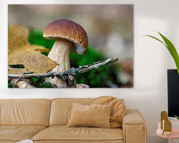 Pilz von ton vogels