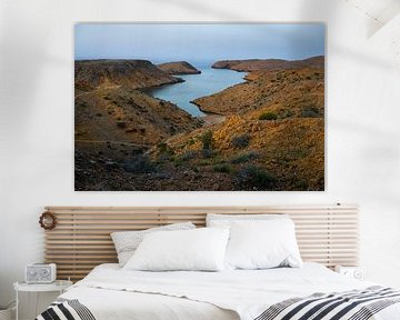 Oman, nature near Muscat by Paula Romein