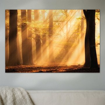 Autumn Symphony 5 van Cho Tang