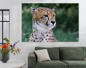 Cheetah - Africa wildlife van W. Woyke