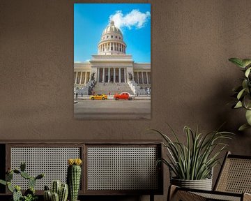 Havana