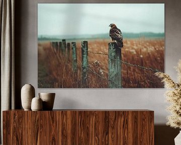 Falcon on a wooden pole by Imperial Art House