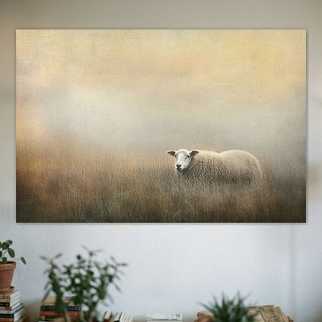 Sheep in foggy meadow by Imperial Art House