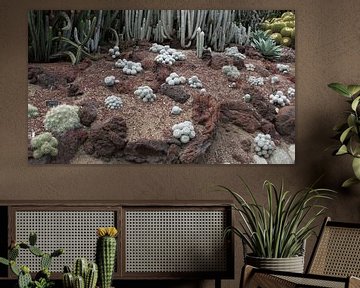 Cactussen in woestijn tuin Huntington Gardens van Henk Alblas