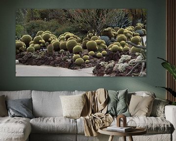Cactus Schoonmoedersstoel in Huntington Gardens van Henk Alblas