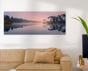 Panorama en zonsopkomst bij de Oisterwijkse Bossen en Vennen van Henk Meijer Photography