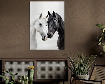 Harmony in contrast: black and white