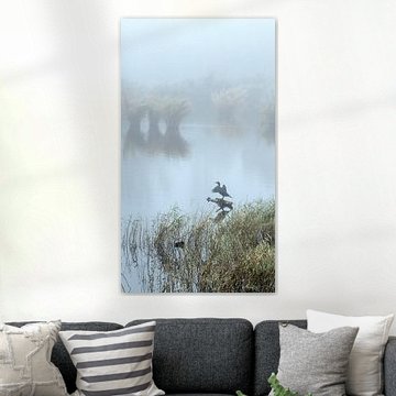 Im Nebel trocknen lassen