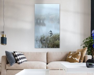 Even laten drogen in de mist