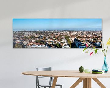 Breed panorama over Brussel van Werner Lerooy