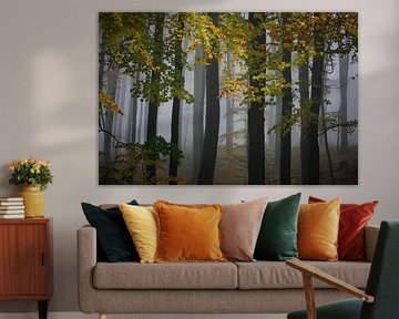 Fog in forest in autumn by Ger Loeffen