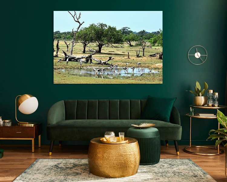 Aperçu de la chambre