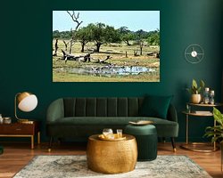 Aperçu de la chambre