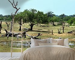 Aperçu de la chambre