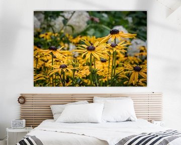 Champ de fleurs jaunes sur Elbertsen Fotografie