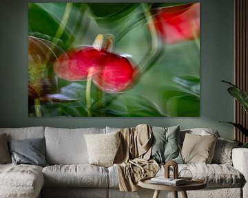 Flamingo bloem Anthurium van Tibor Nagy