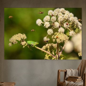 Tree frog among flowers and bees