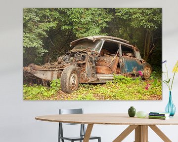 citroen DS cargraveyard by anne droogsma