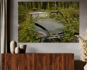 citroen DS sur anne droogsma
