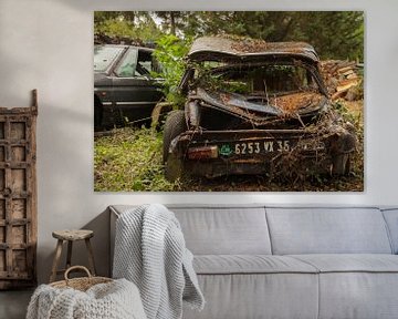 citroen DS by anne droogsma
