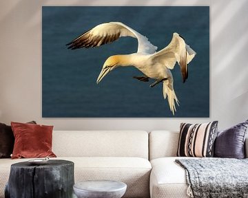 Jan van Gent during flight by Anjella Buckens