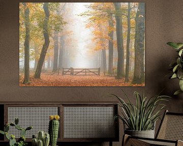 Beukenlaan in herfstkleuren van Friso Schinkel