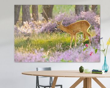Ree among the flowering heather by Friso Schinkel