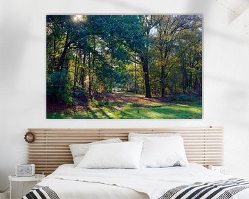 Een bosrand van een openplek in het bos van Gerard de Zwaan