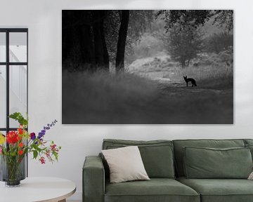 Fox in landscape by Pim Leijen