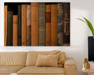 Library of old books by Jan Van Bizar