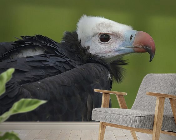 Raumvorschau
