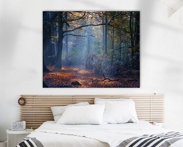 sunbeams in the forest by peterheinspictures