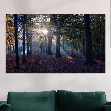 sunbeam show in heilooer forest