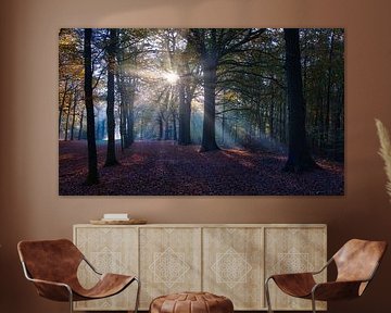 sunbeam show in heilooer forest by peterheinspictures