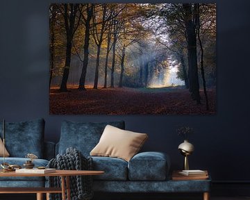 Autumn avenue in the heilooer forest by peterheinspictures