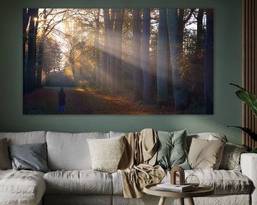 photographer in the autumn forest by peterheinspictures